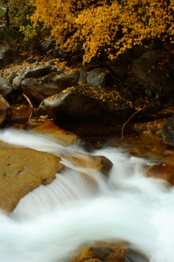 Little Cottonwood River in the Fall.  Copyright Nate Young and Crux Photo.